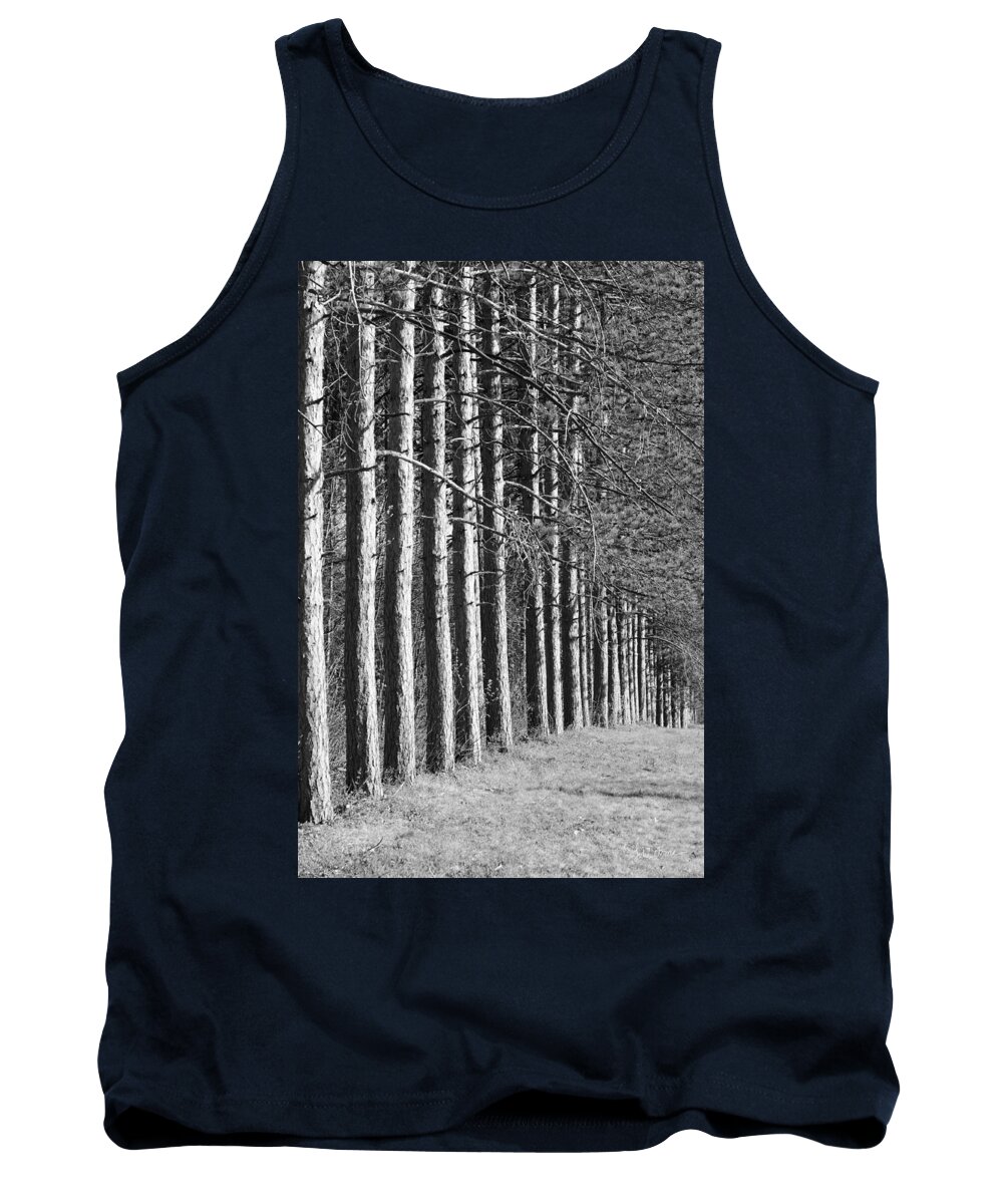 Forest Tank Top featuring the photograph Enchanted Forest by Luke Moore