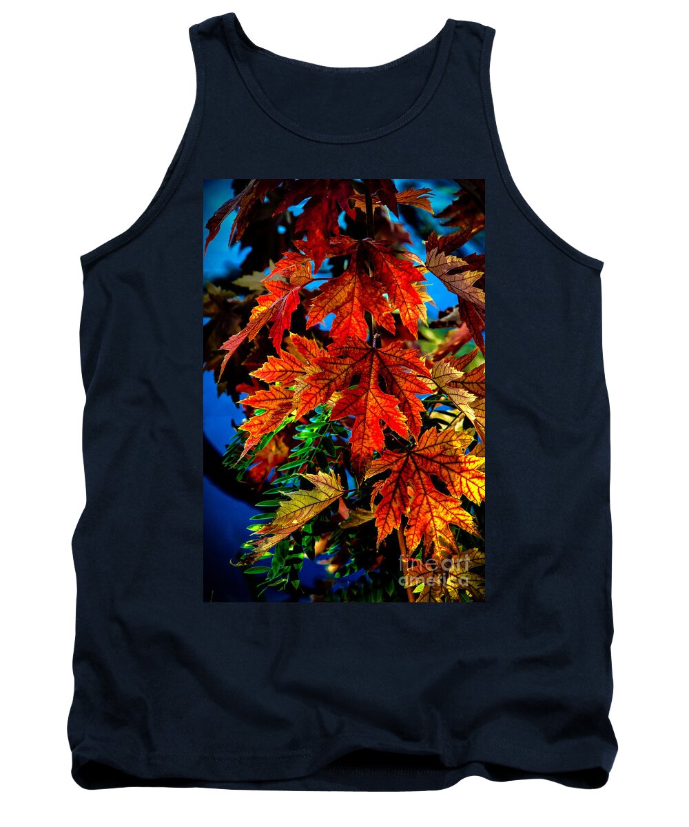 Maple Tank Top featuring the photograph Fall Reds by Robert Bales