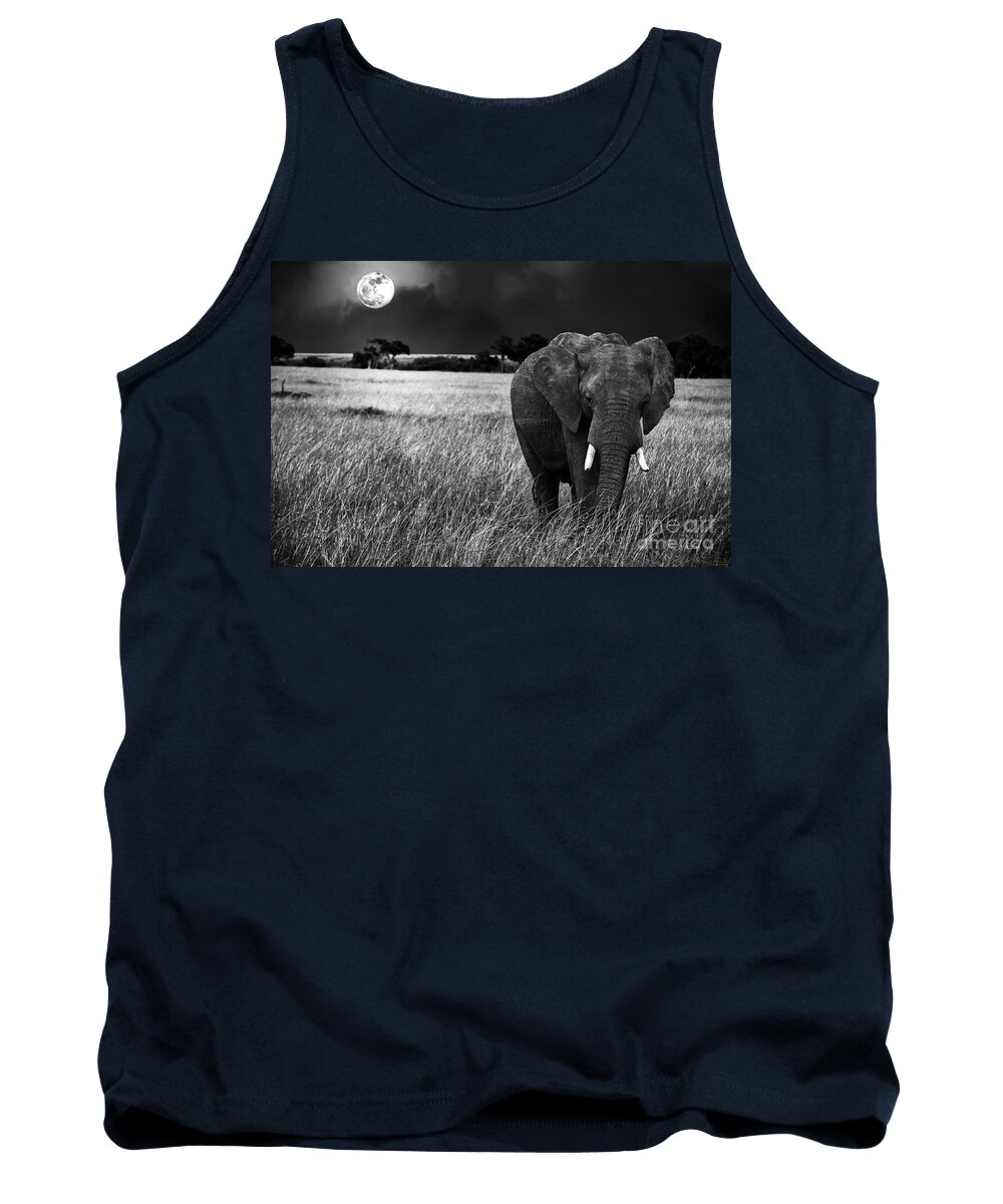 Moon Tank Top featuring the photograph Full Moon Night by Charuhas Images