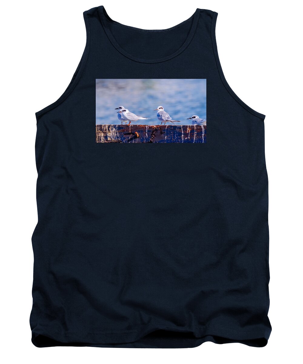 Bird Tank Top featuring the photograph In Everything Tern Tern Tern by Jeff at JSJ Photography