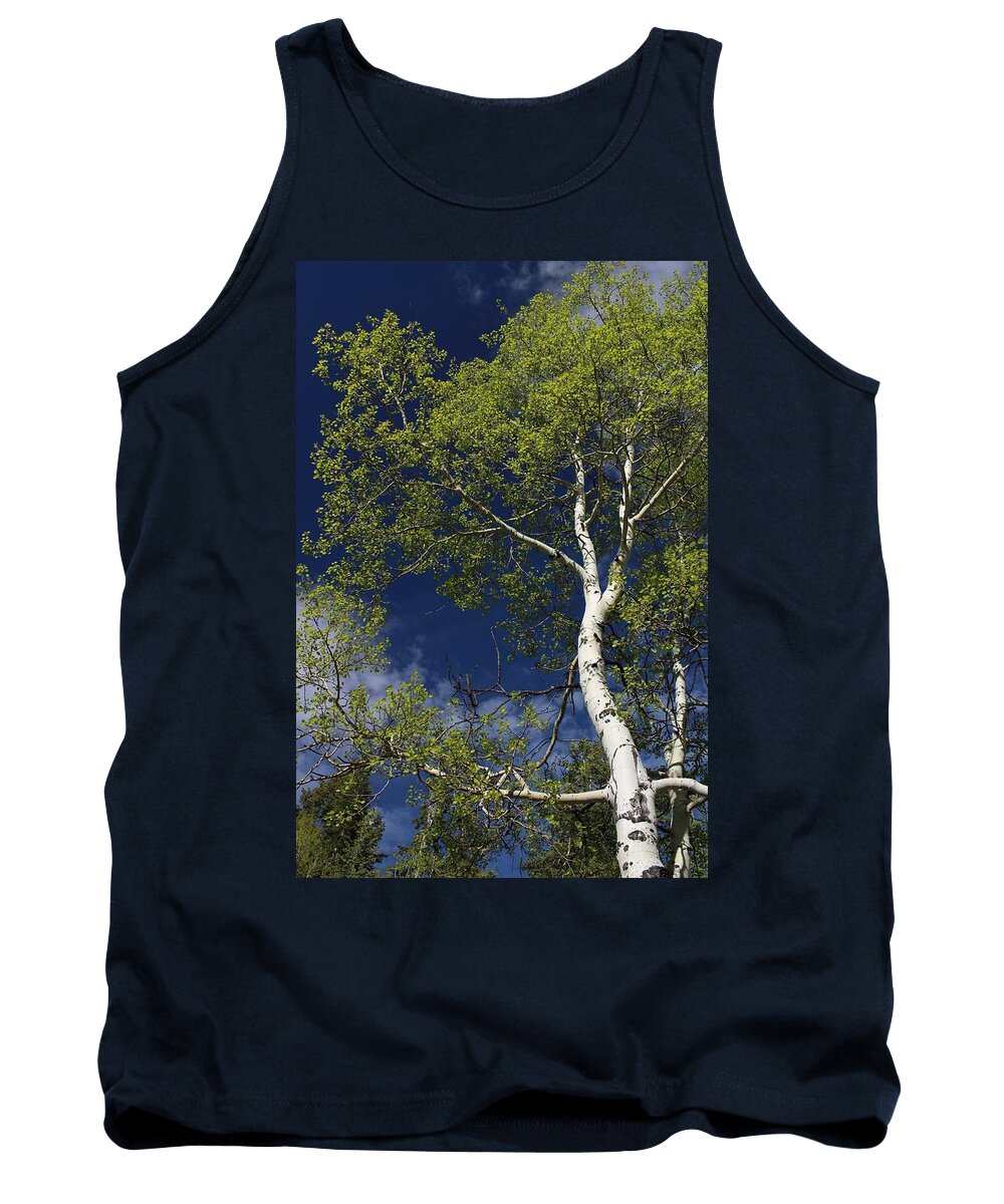 Tree Tank Top featuring the photograph Just Trees and Sky by Buck Buchanan