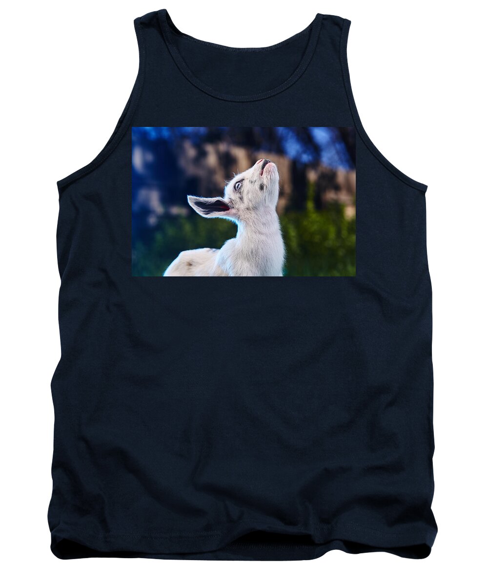 Goat Tank Top featuring the photograph Keep calm and hold your head up by TC Morgan