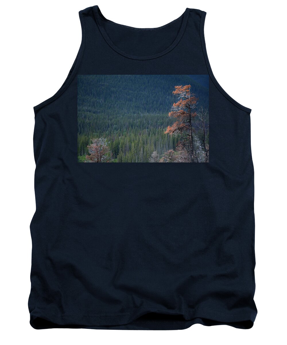 Trees Tank Top featuring the photograph Montana Tree Line by David Chasey
