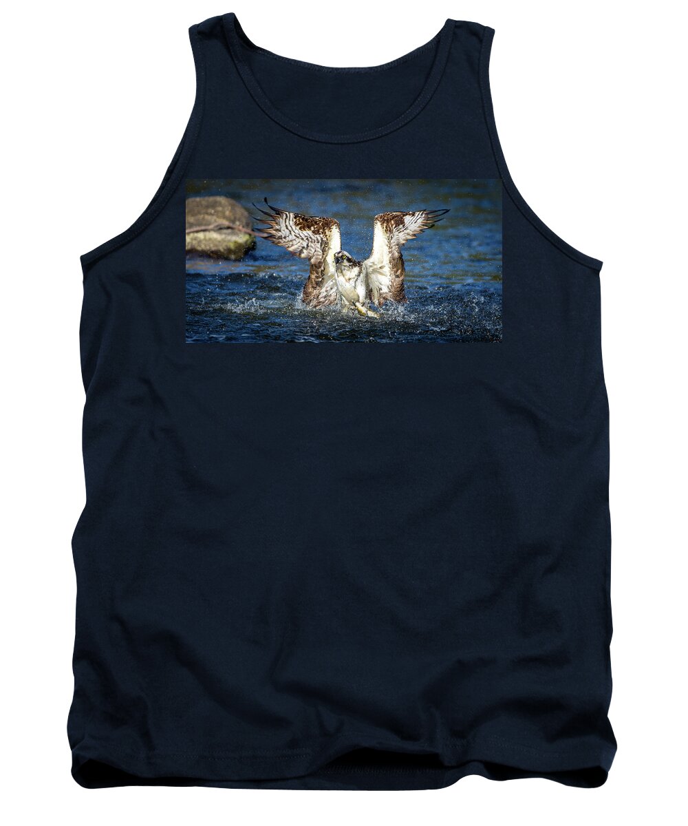 Osprey Tank Top featuring the photograph Olympian Catch by Kevin Dietrich