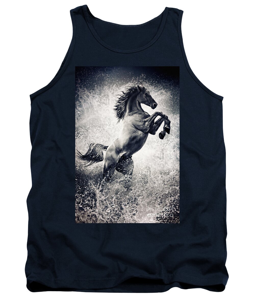 Horse Tank Top featuring the photograph The Black Stallion Arabian Horse Reared Up by Dimitar Hristov