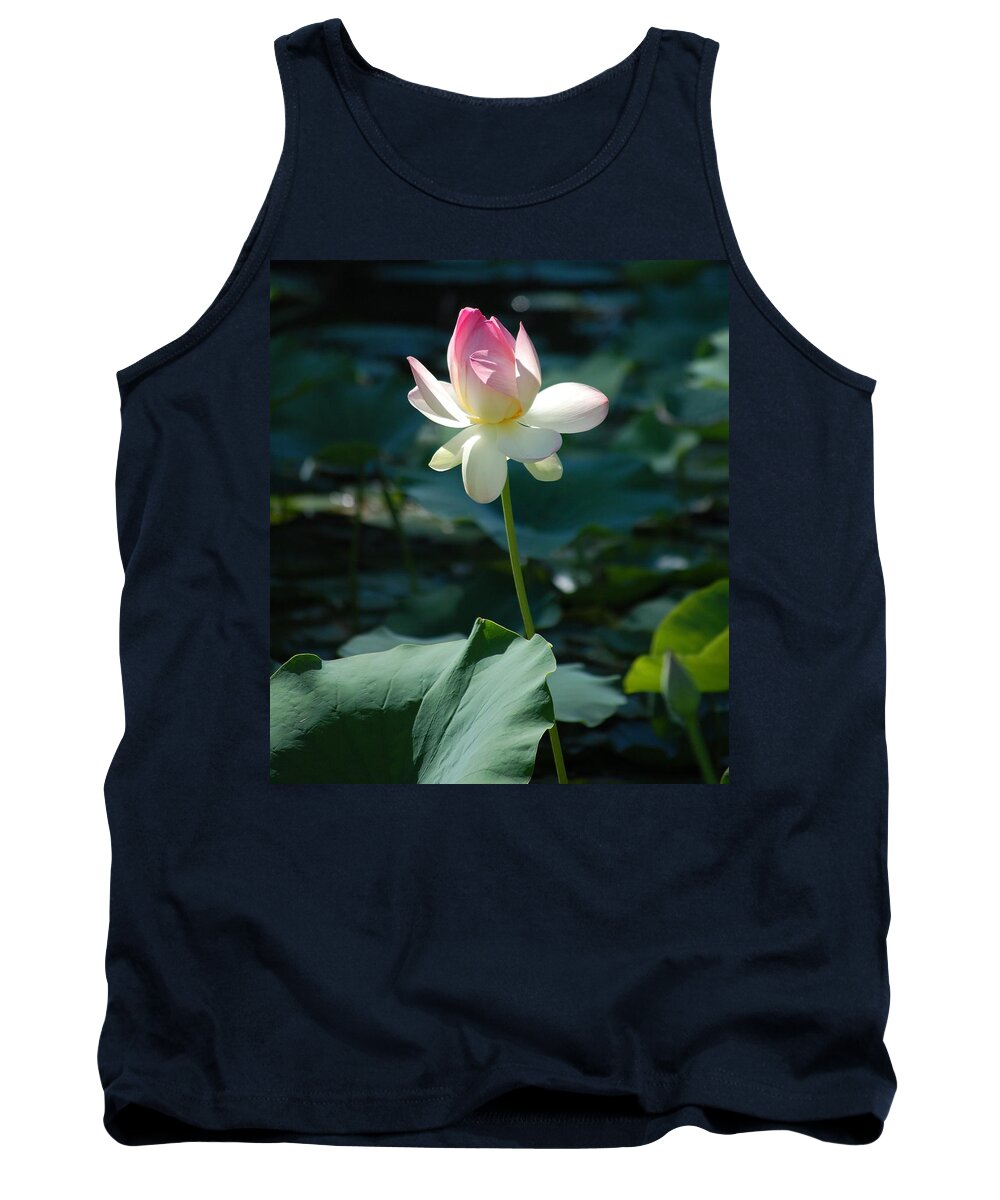 Lilly Pond Tank Top featuring the photograph Visit to Lilly Pond 2 by David Lane