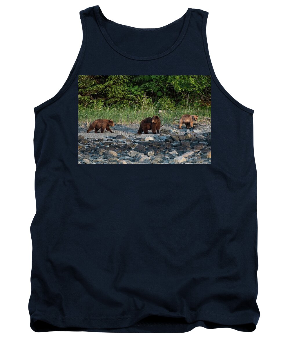 Brown Bears Tank Top featuring the photograph Family by David Kirby