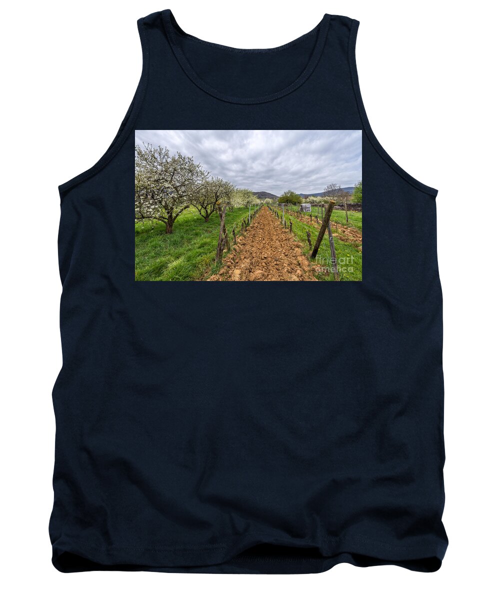 Mittelbergheim Tank Top featuring the photograph Historical gems in the Alsace by Bernd Laeschke