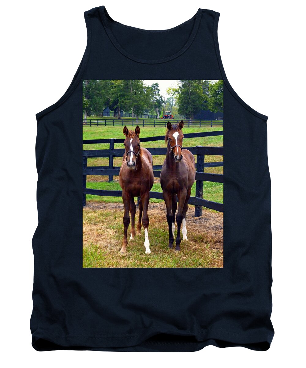 Young Thoroughbreds Tank Top featuring the photograph Two Friends by Mike McBrayer