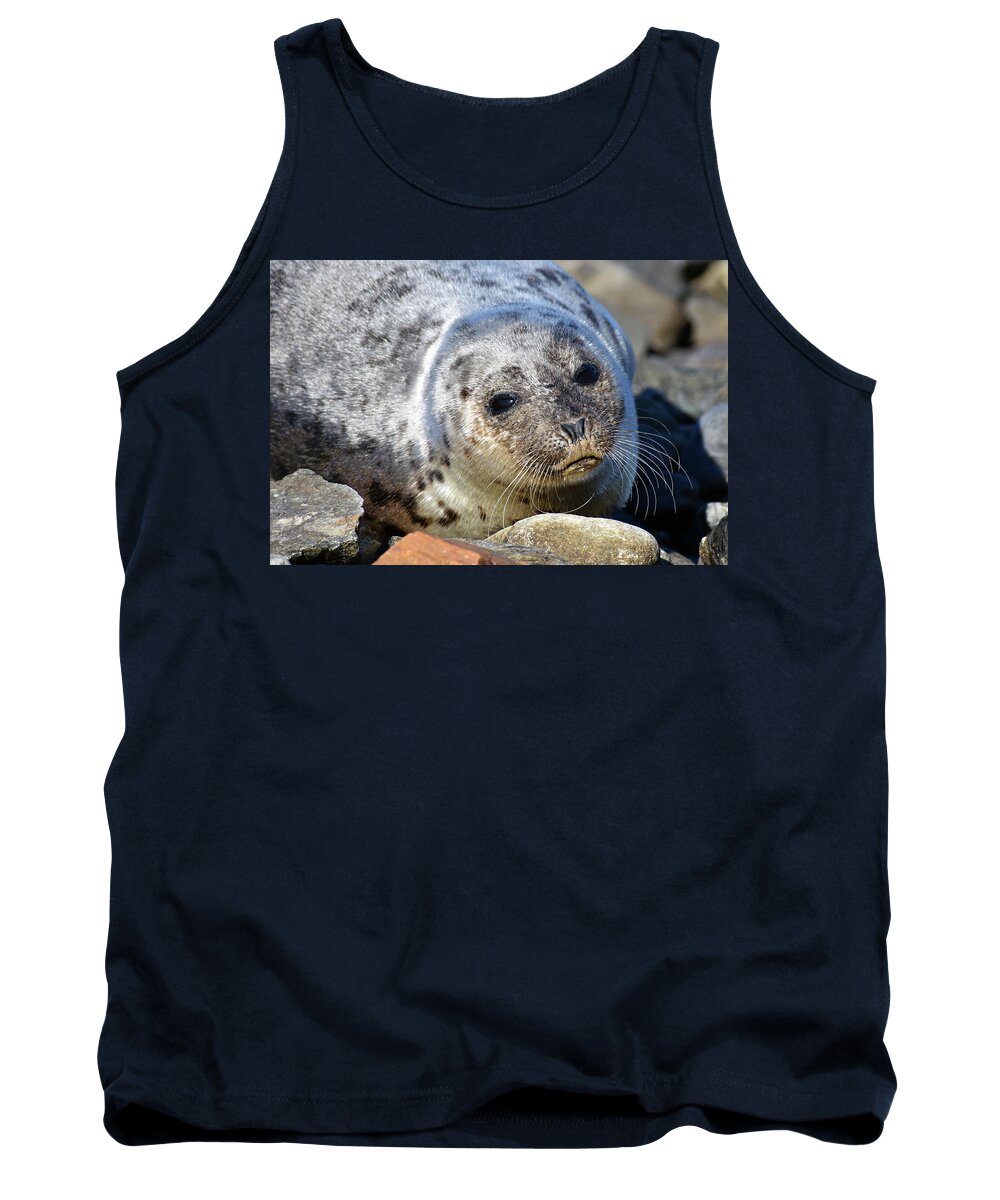 Seal Tank Top featuring the photograph Whiskers by Vicky Edgerly
