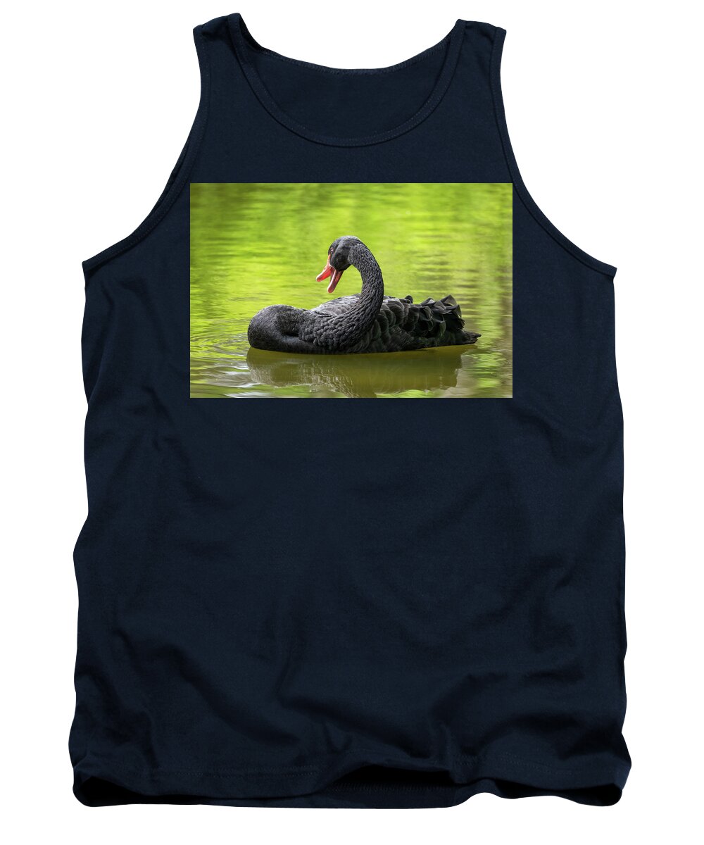 Black Tank Top featuring the photograph Black Swan In The Lake by Artur Bogacki