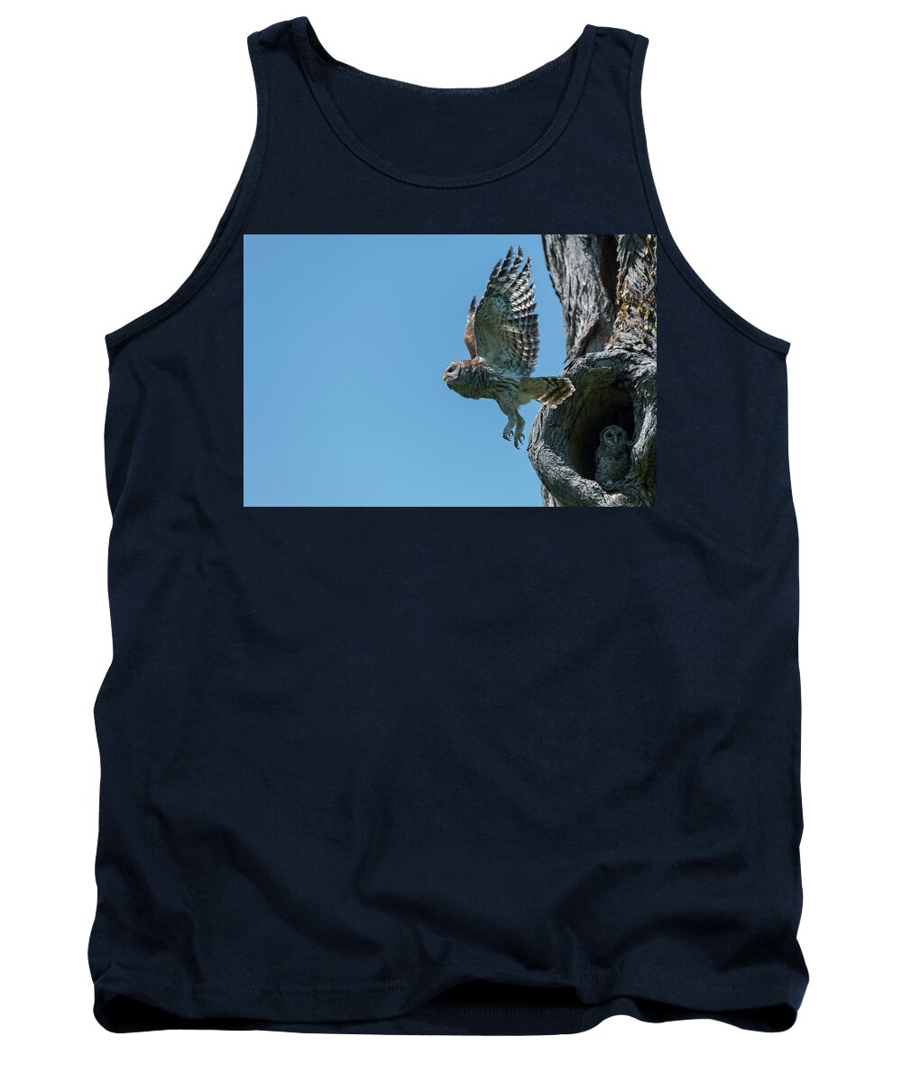 Magic Feathers Tank Top featuring the photograph Mama barred Owl getting ready to hunt by Puttaswamy Ravishankar