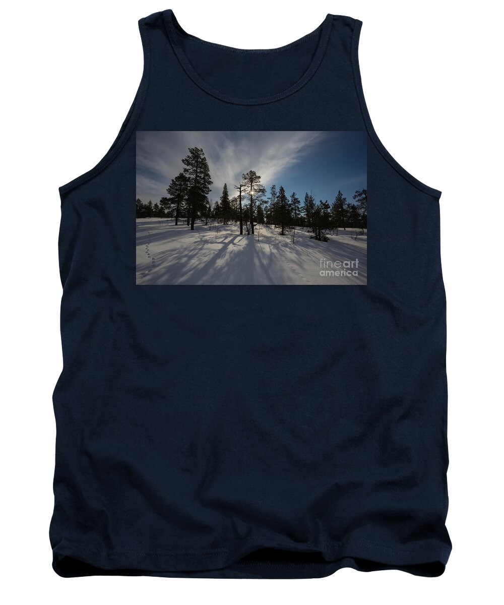 Winter Sun Tank Top featuring the photograph Morning Shadows by Eva Lechner