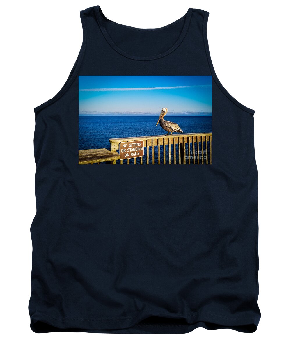 No Sitting Tank Top featuring the photograph Pelican, No Sitting or Standing on Rails by Beachtown Views