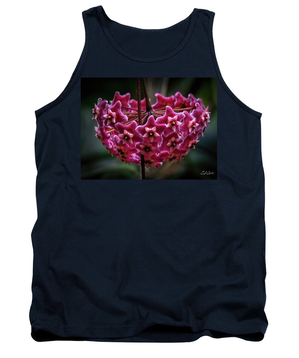 Pink Tank Top featuring the photograph Pink Silver Porcelain Flower by Steven Sparks