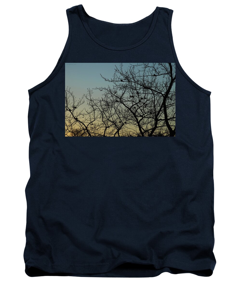 Sunrise Tank Top featuring the photograph Robins Roosting at Dawn January 24 2021 by Miriam A Kilmer