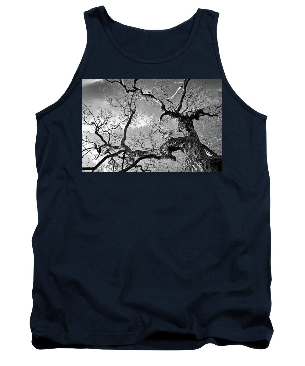 Twisted Tank Top featuring the photograph Twisted Trunk by Steven Nelson