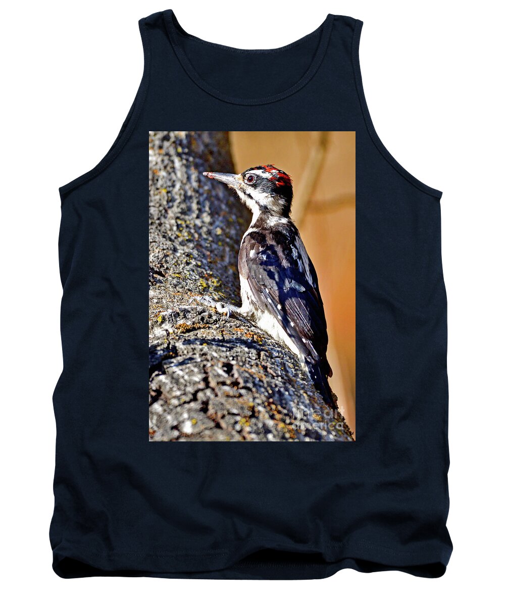 Yellow-bellied Sapsucker Tank Top featuring the photograph Yellow-bellied sapsucker by Amazing Action Photo Video