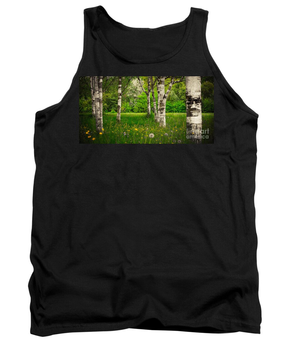 Birch Tank Top featuring the photograph Birches by Hannes Cmarits