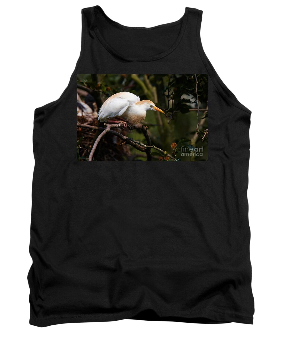 Cattle Tank Top featuring the photograph Cattle egret in a tree #1 by Nick Biemans