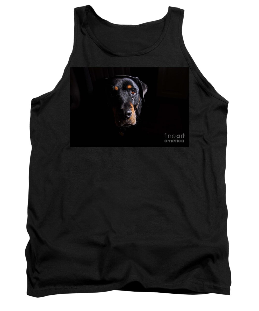 Dogs Tank Top featuring the photograph Mandy #1 by Cindy Manero