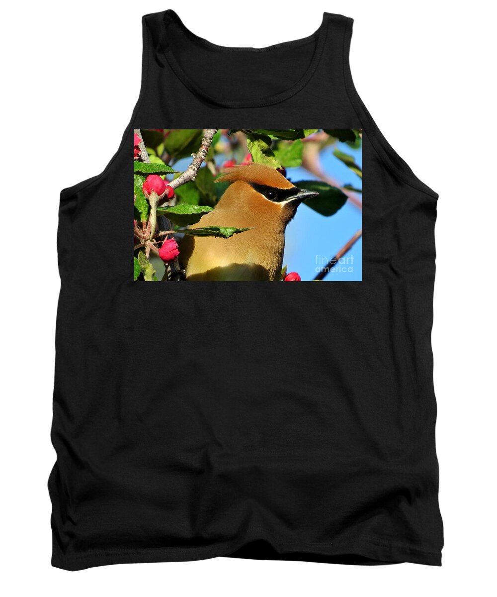 Cedar Waxwing Tank Top featuring the photograph Cedar Waxwing by Michele Penner