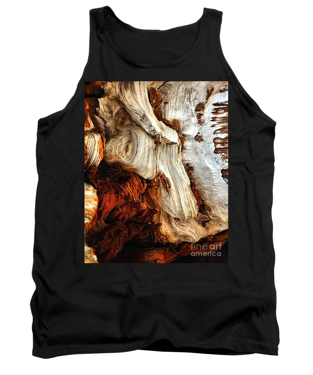 Abstract Tank Top featuring the photograph Primitive #1 by Lauren Leigh Hunter Fine Art Photography