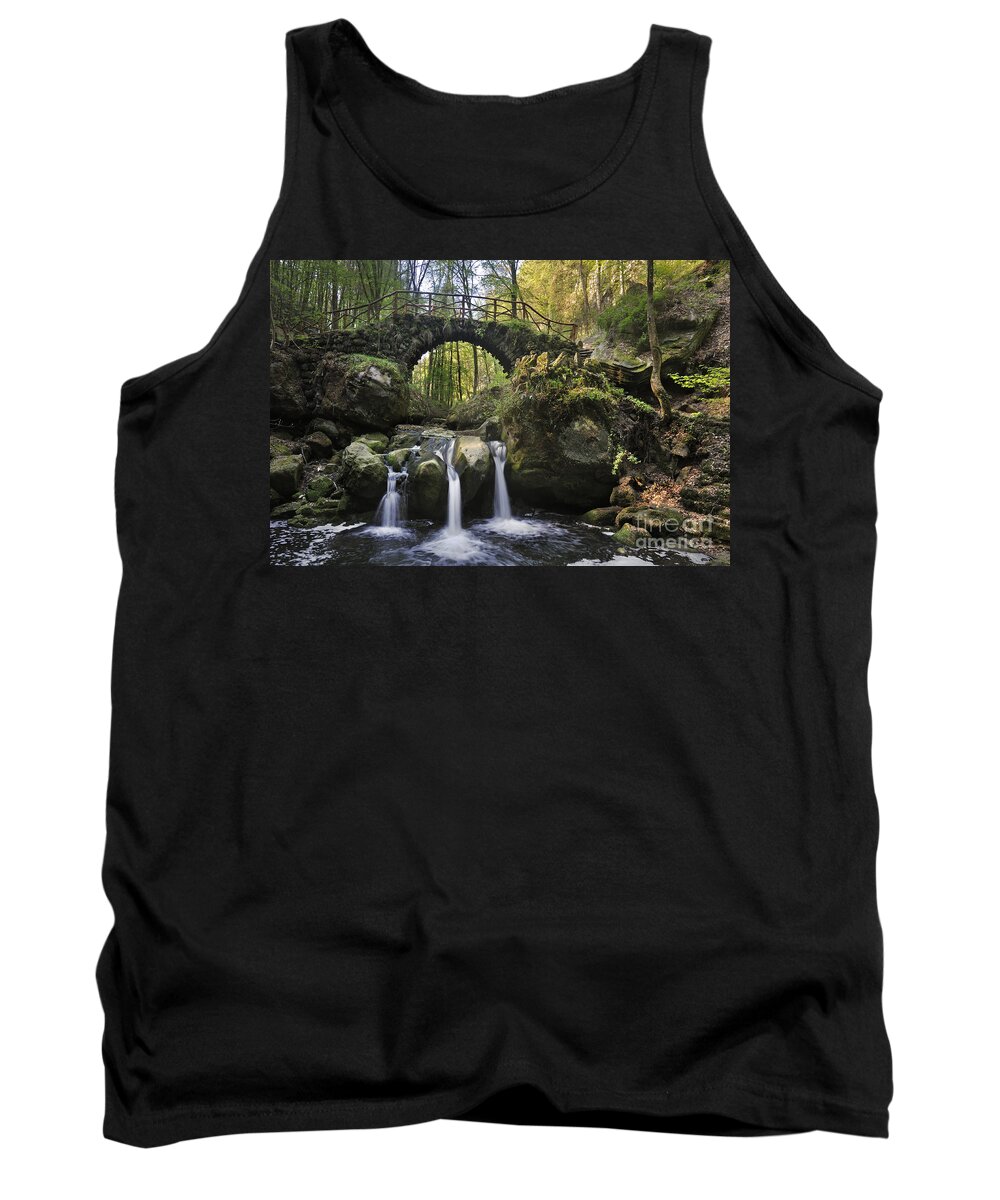 Schiessentmpel Tank Top featuring the photograph 110414p154 by Arterra Picture Library