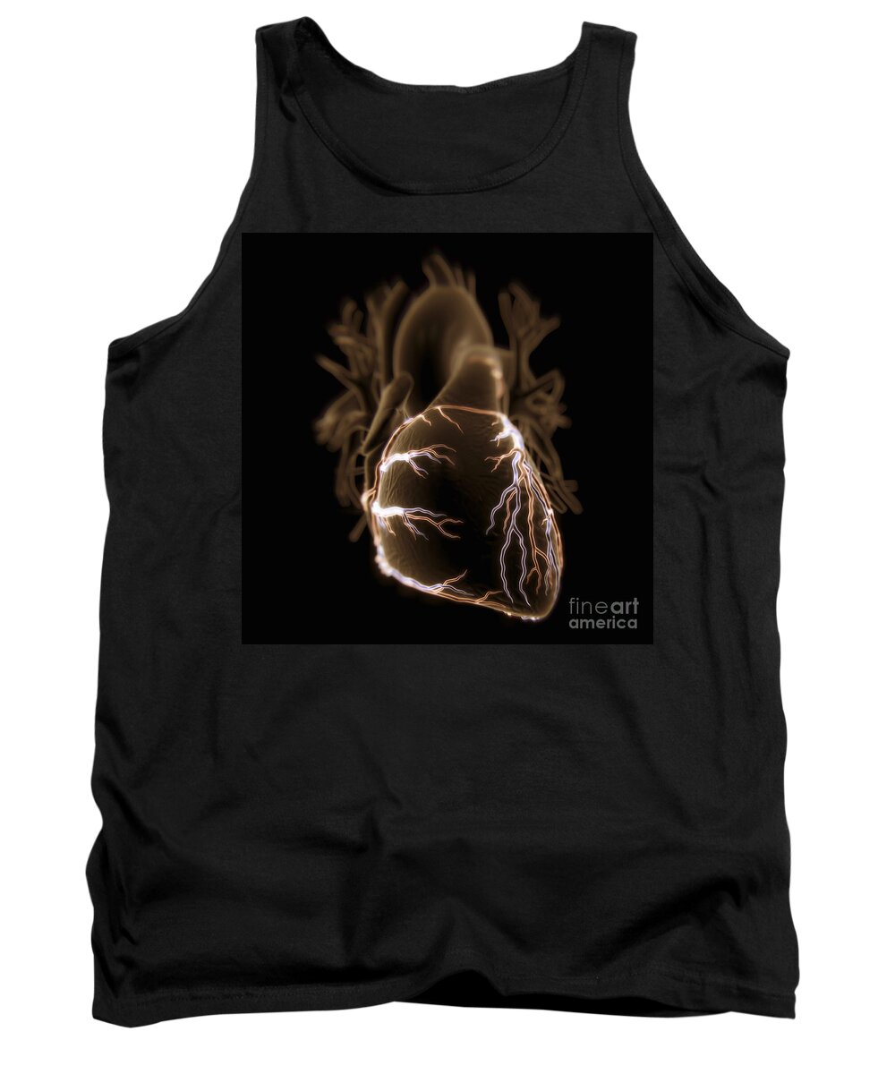 Biomedical Illustration Tank Top featuring the photograph Coronary Blood Supply #13 by Science Picture Co