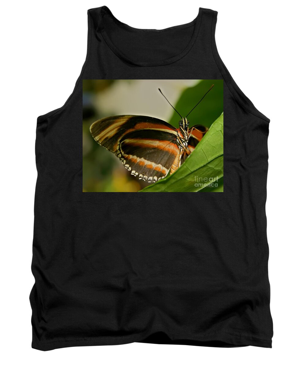Butterfly Tank Top featuring the photograph Butterfly #14 by Olga Hamilton