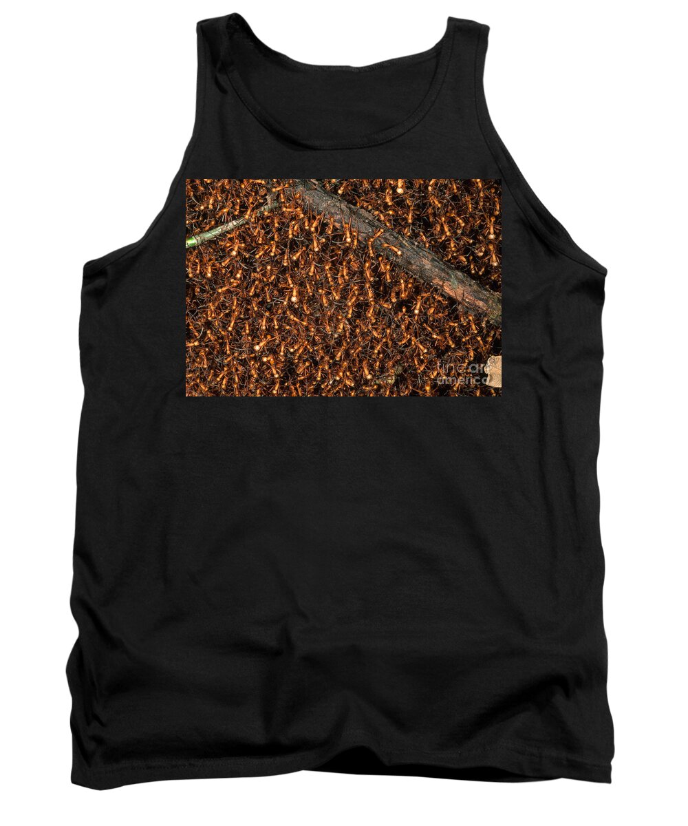 Army Ant Tank Top featuring the photograph Army Ant Bivouac Site #2 by Gregory G. Dimijian, M.D.