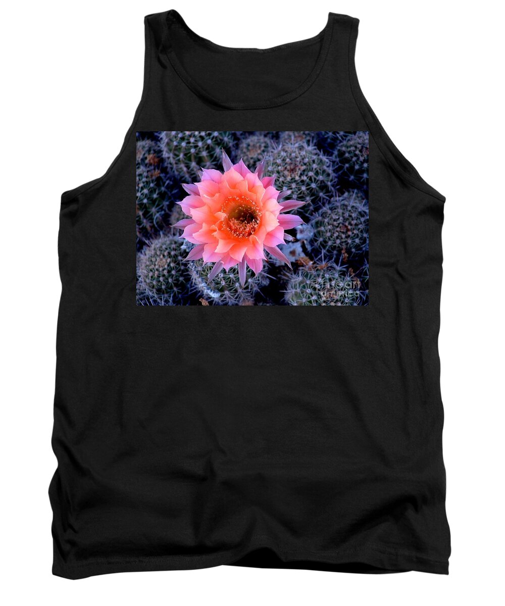 Cactus Tank Top featuring the photograph Desert Beauty #2 by Marilyn Smith