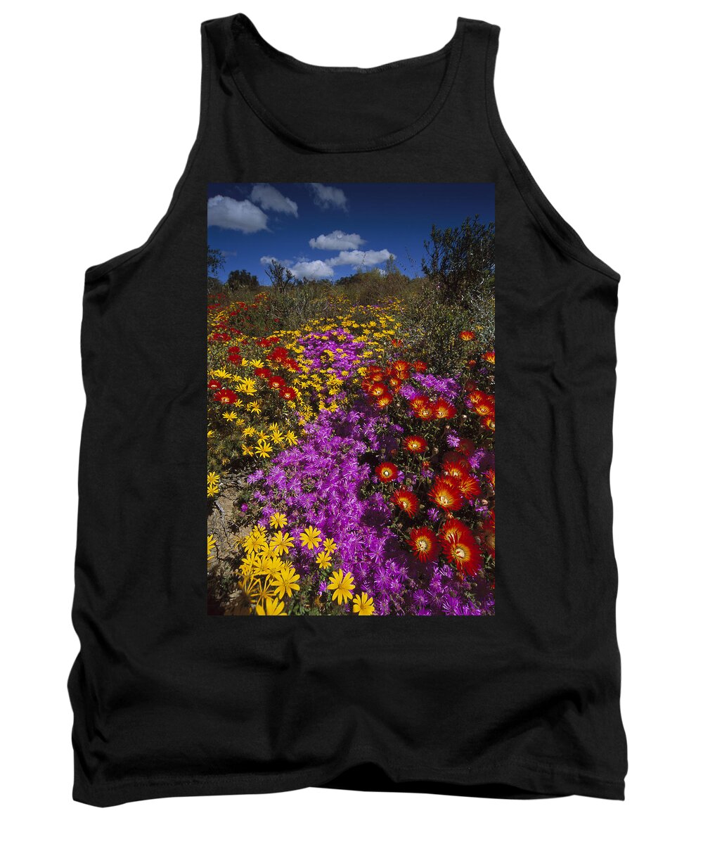 Feb0514 Tank Top featuring the photograph Dewflowers Little Karoo South Africa #2 by Tui De Roy