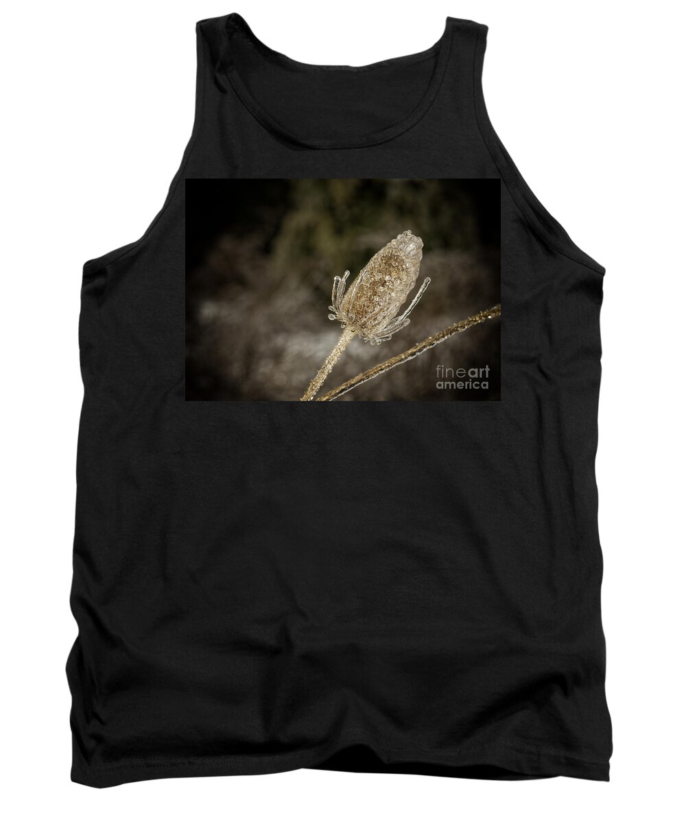 Thistle Tank Top featuring the photograph Icy Thistle #2 by Les Palenik