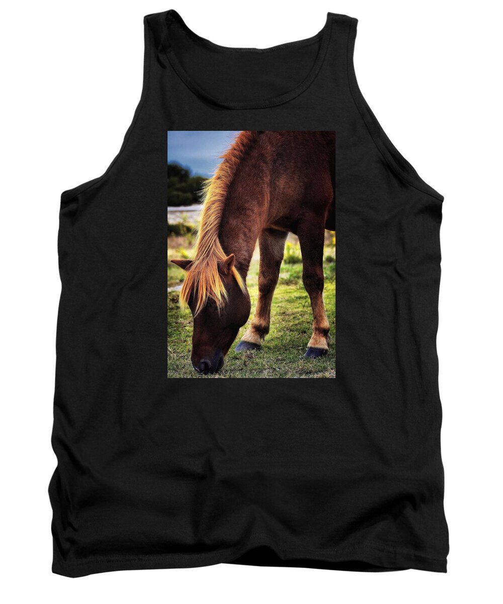 Horses Tank Top featuring the photograph 24 Carrot by Robert McCubbin