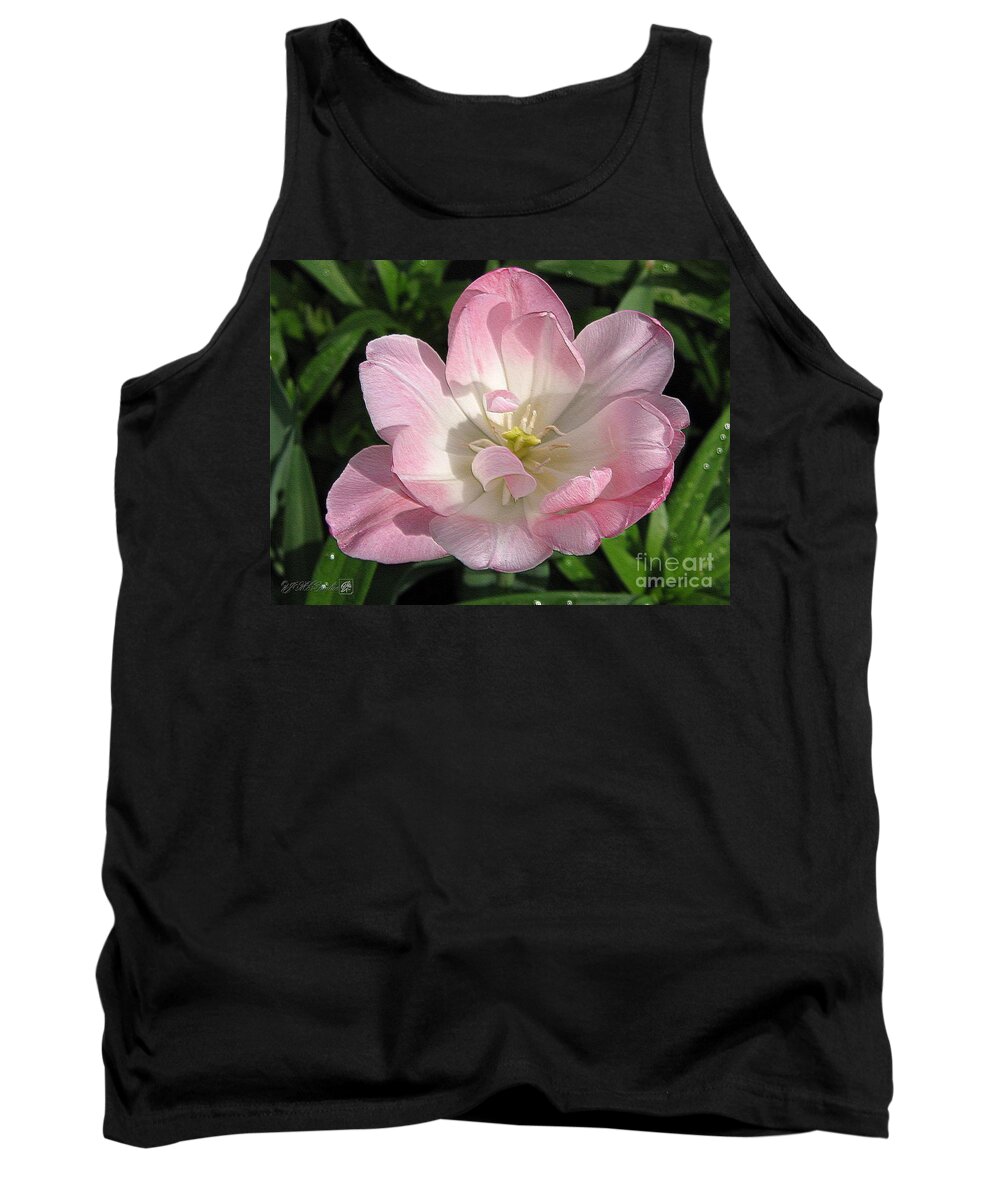 Double Late Tulip Tank Top featuring the photograph Double Late Tulip named Angelique #4 by J McCombie