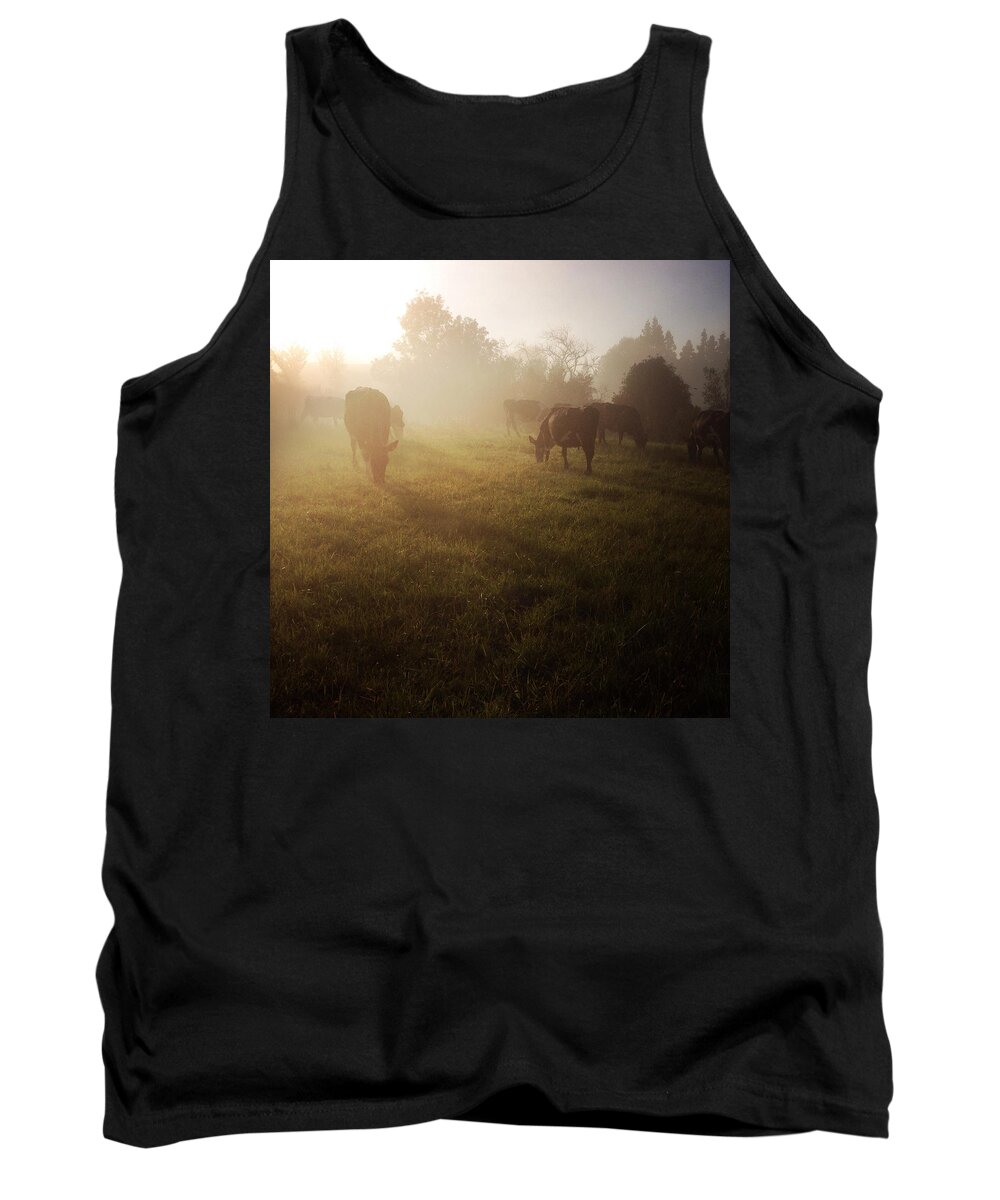 New Zealand Tank Top featuring the photograph Cows #8 by Les Cunliffe