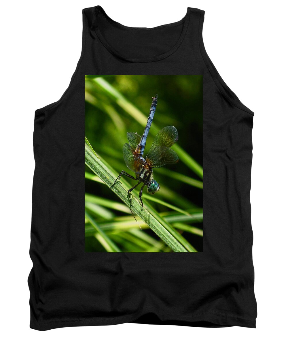A Dragonfly Tank Top featuring the photograph A Dragonfly by Raymond Salani III