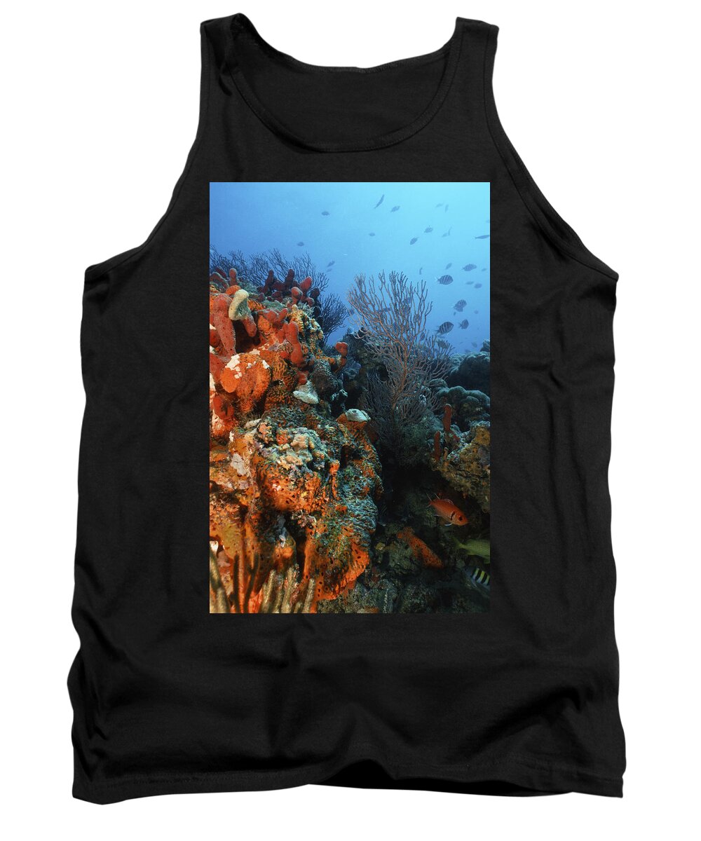 Angle Tank Top featuring the photograph A Good Day by Sandra Edwards