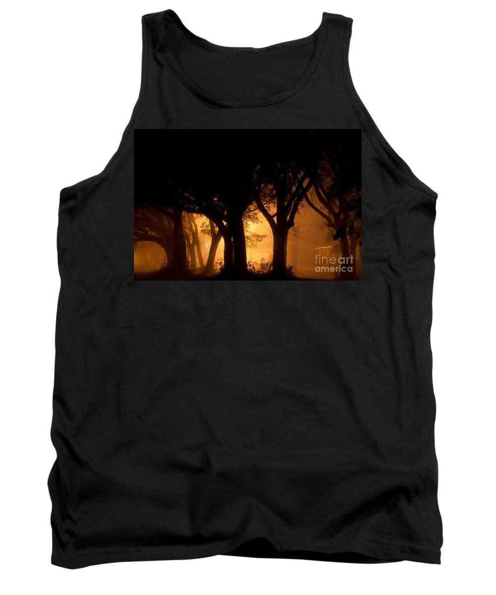 Abstract Tank Top featuring the photograph A Grove Of Trees Surrounded By Fog And Golden Light by Jo Ann Tomaselli