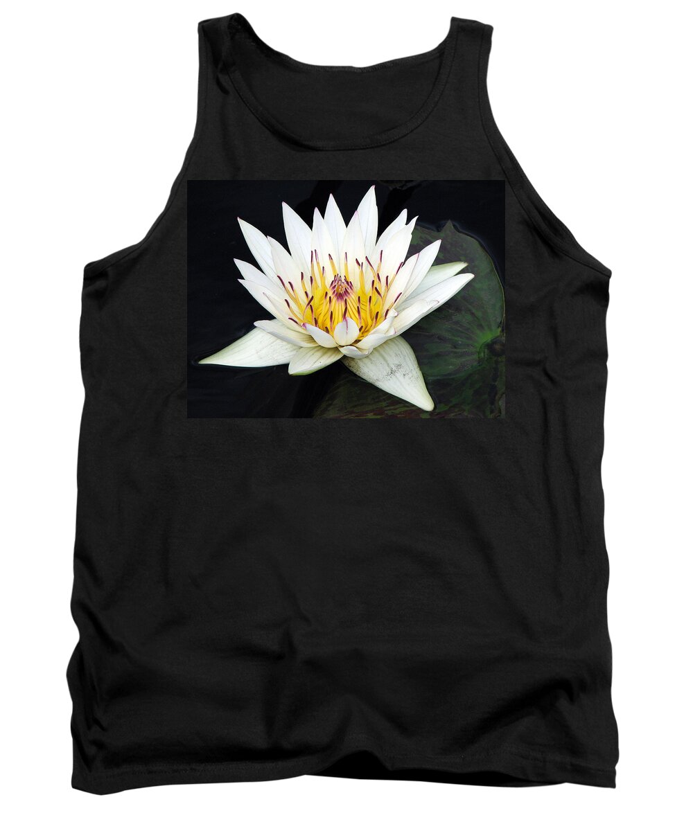Water Lily Tank Top featuring the photograph Botanical Beauty by Rick Locke - Out of the Corner of My Eye