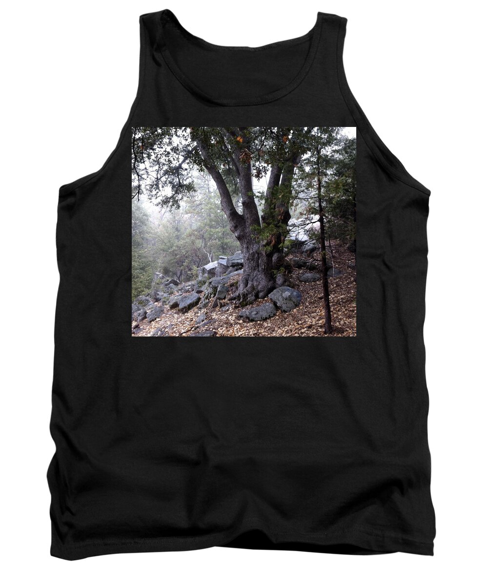 Oak Tree Tank Top featuring the photograph A Stroll Through The Forest by Gerry High