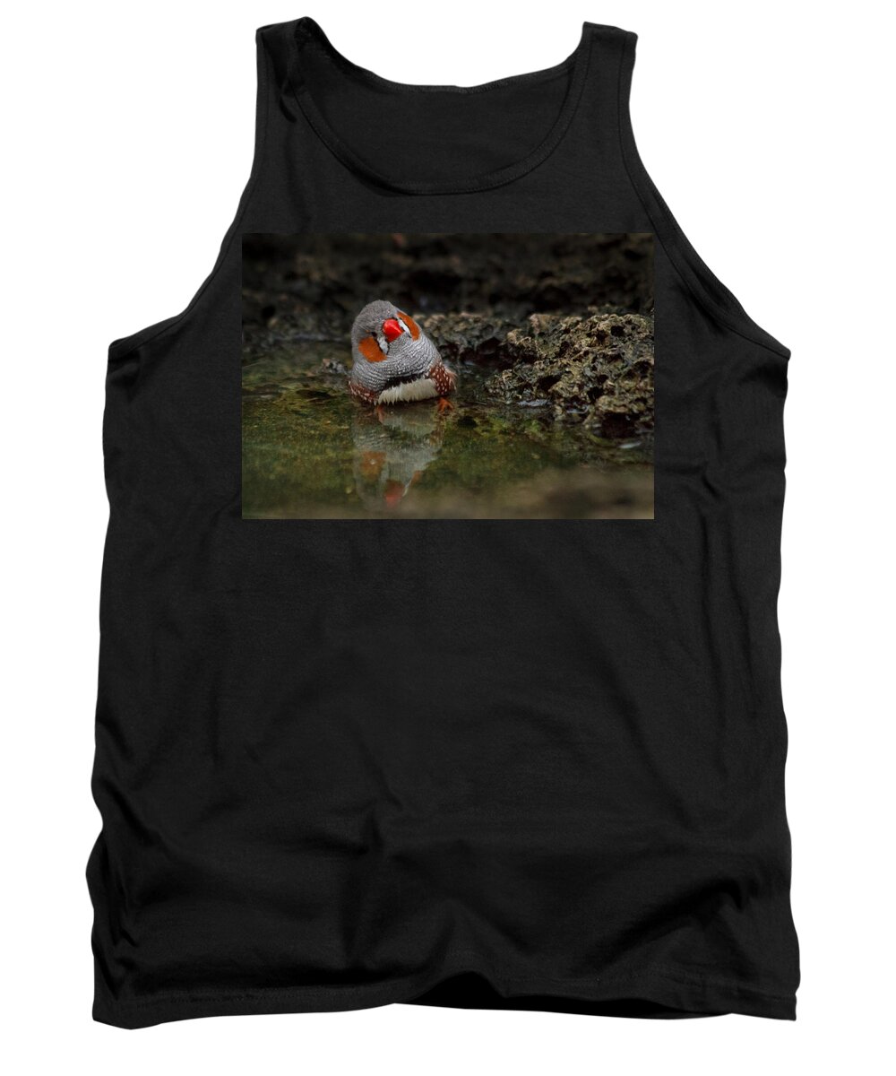 Finch Tank Top featuring the photograph Adorable zebra finch taking a bath by Eti Reid