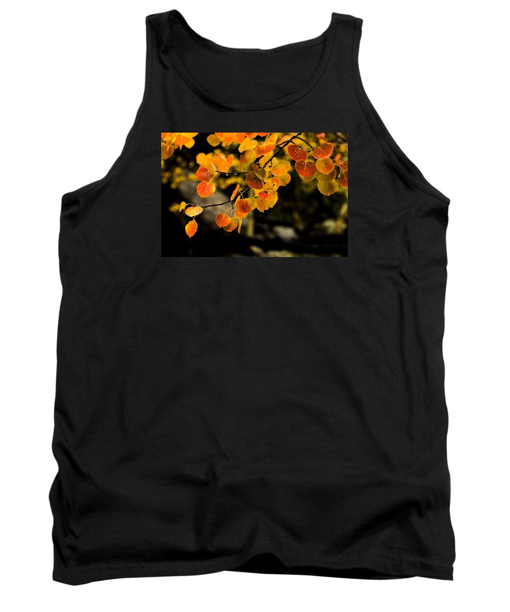 Fall Tank Top featuring the photograph After Rain by Chad Dutson