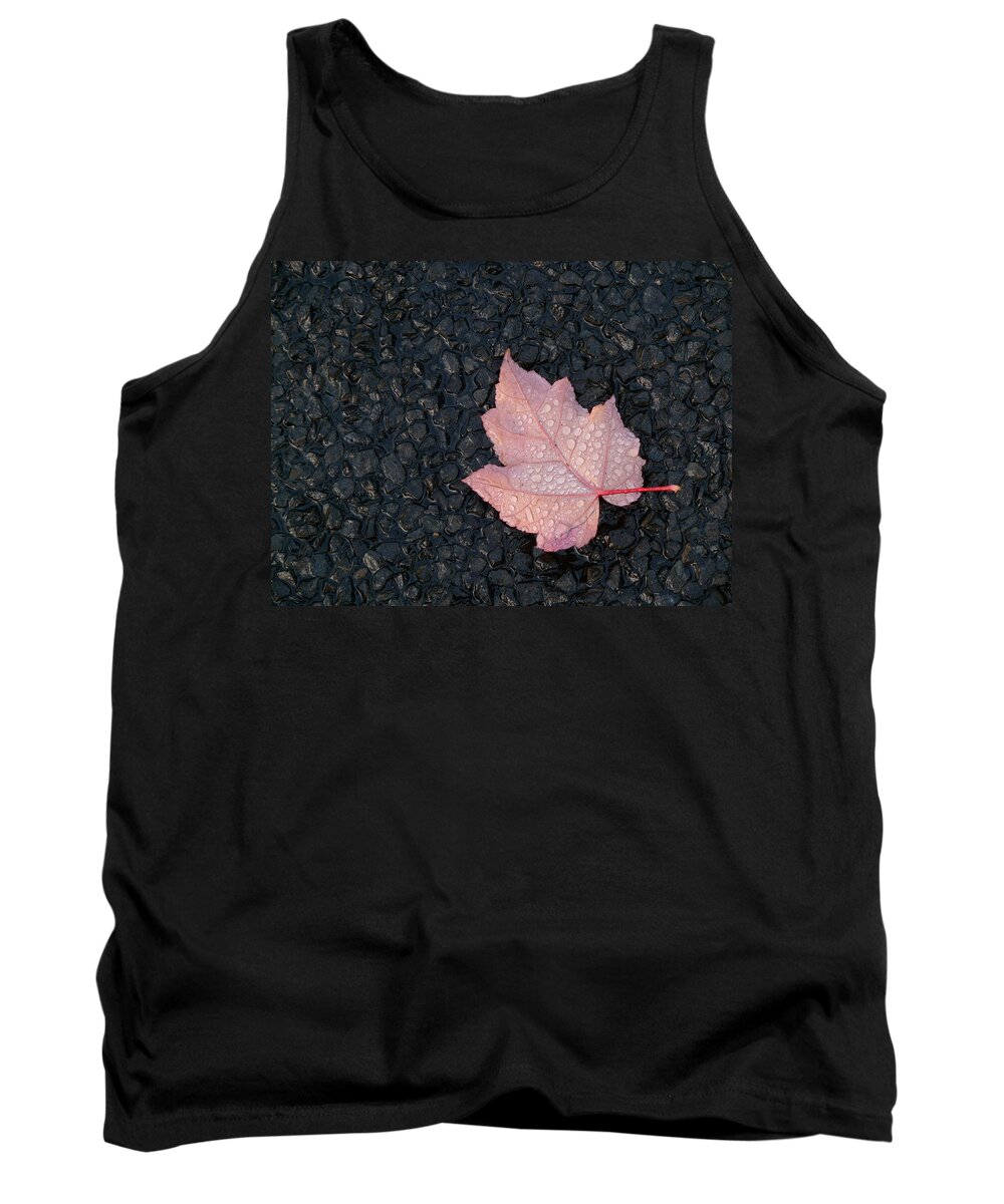 Rain Tank Top featuring the photograph After The Rain by Evelyn Tambour