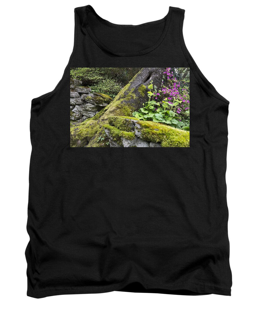 Nature Tank Top featuring the photograph Along The Pathway by Priya Ghose