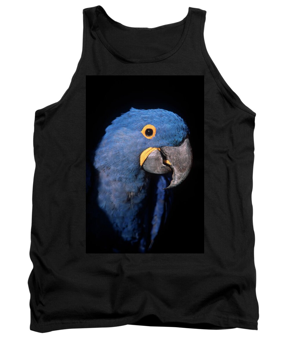 Animal Tank Top featuring the photograph Animals by Russell Gordon