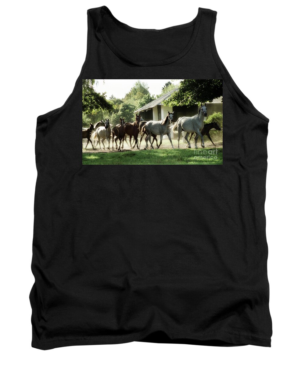 Horse Tank Top featuring the photograph Arabian Horses by Ang El