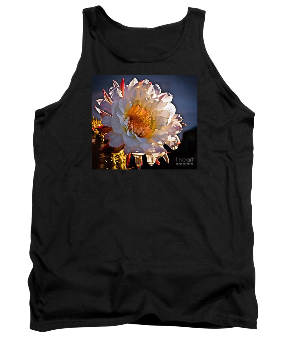 Arizona Tank Top featuring the photograph Argentine Giant II by Robert Bales