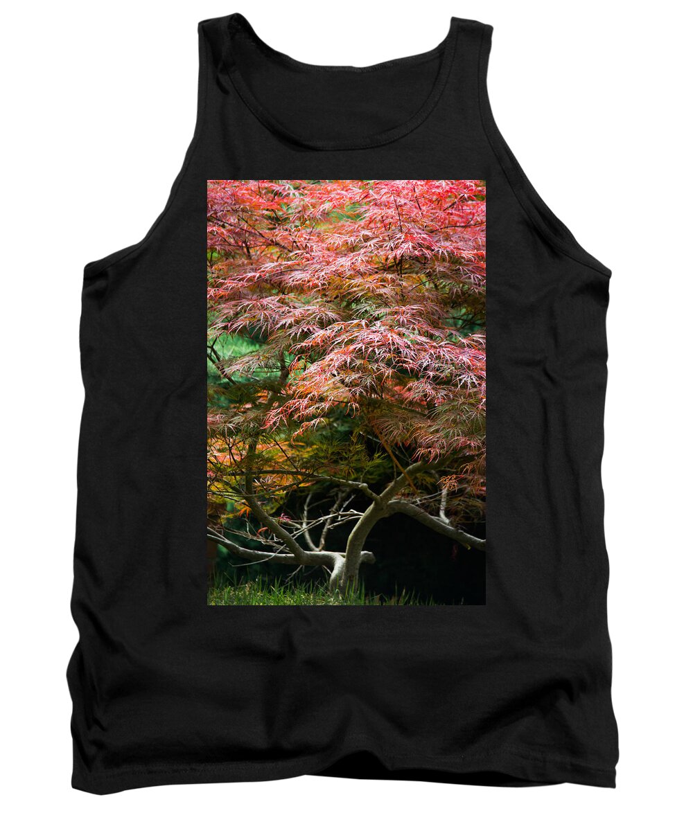 Autumn Tank Top featuring the photograph Autumn Is Here by Parker Cunningham